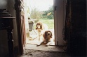 20011025 LE BOSQUET Karen H 05